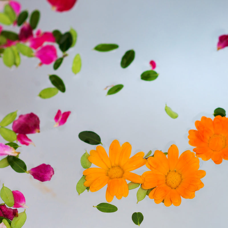 Herbal Foot Soak with PipingRock