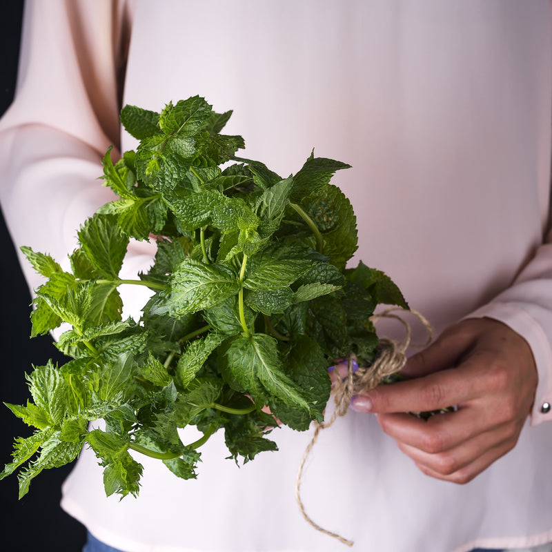 Navigating Essential Nutrients: Discover the Power of NAC 