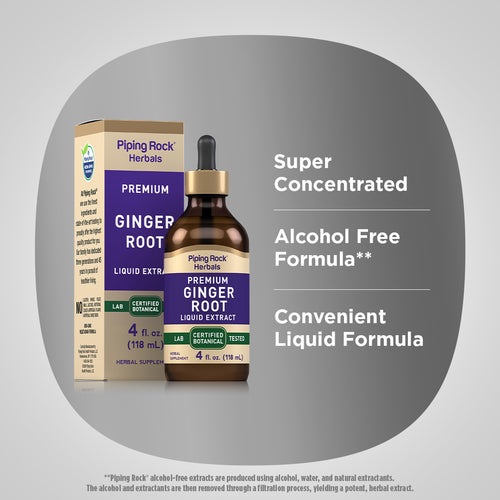 Ginger Root Liquid Extract Alcohol Free, 4 fl oz (118 mL) Dropper Bottle Benefits