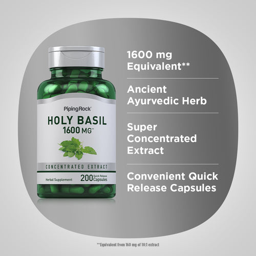 Bottle of Piping Rock Holy Basil supplement on a gray background