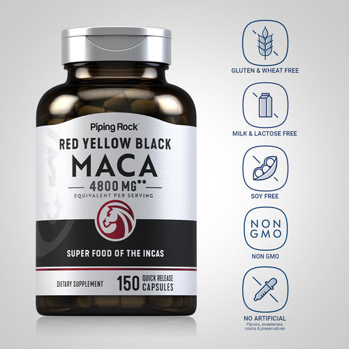 Supplement bottle labeled 'Red Yellow Black Maca' with certification icons on a gray background