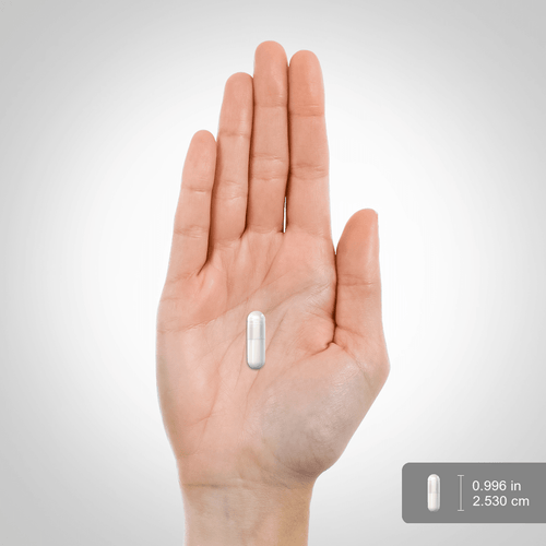 L-arginin 500 mg og citrullin 250 mg,  1000/500 mg 120 Hurtigvirkende kapsler 2 Flasker