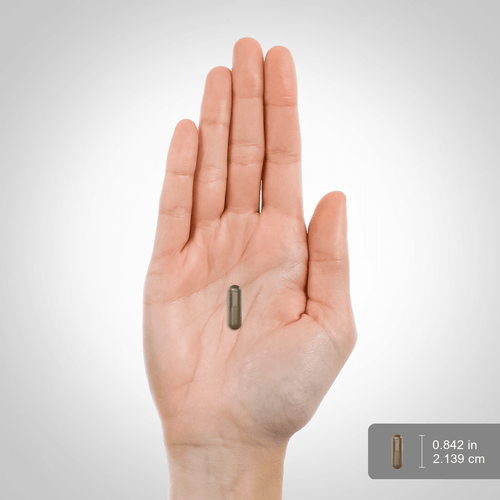 Complesso di noce nera di assenzio,  400 mg 120 Capsule a rilascio rapido 2 Bottiglie