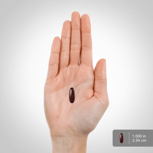 Hand holding a dark red pill with a size reference on a white background