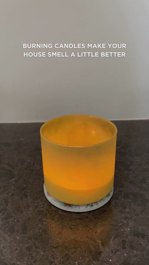 Mini Majesto Essential Oil Diffuser Black, 1 Unit Video