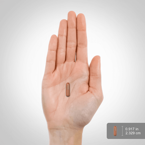 Estratto di tè verde 600 mg 120 Capsule     