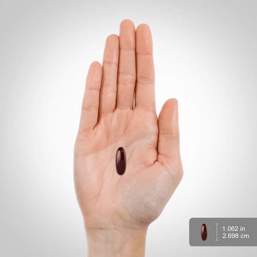 Sunflower Lecithin, 3600 mg (per serving), 200 Quick Release Softgels Size