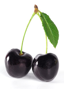PipingRock Black Cherry Juice Concentrate